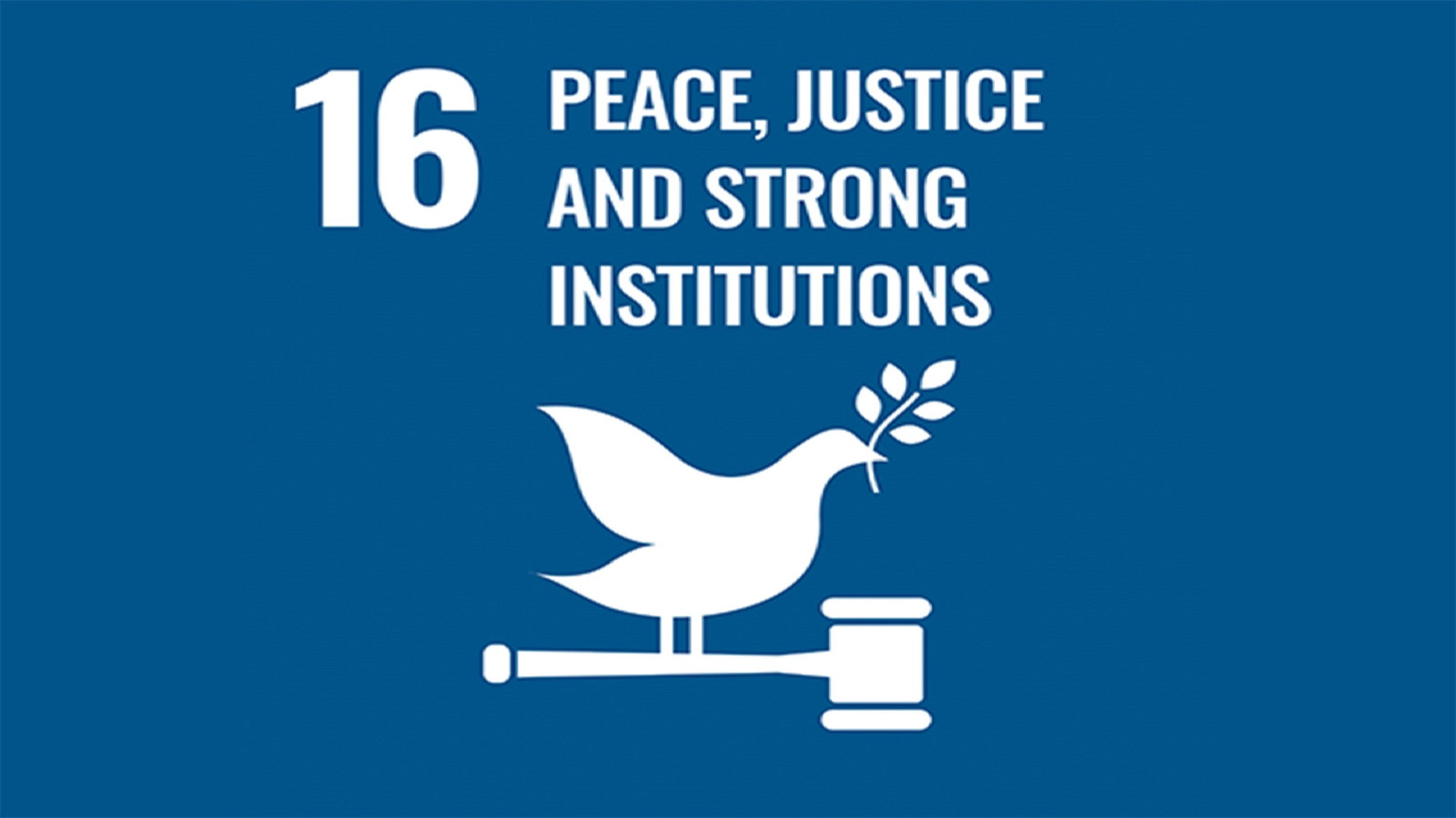 聯合國永續發展目標 16: 制度的正義與和平